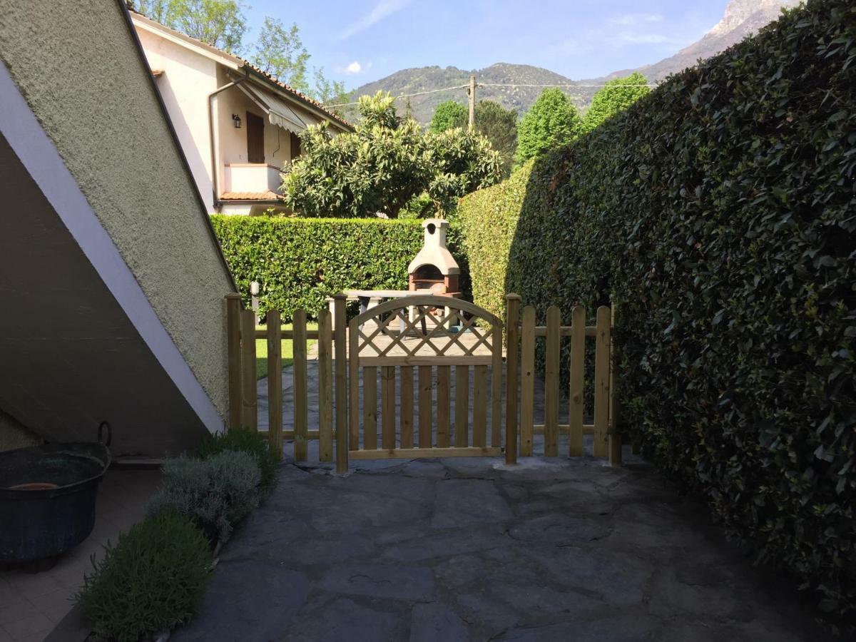 Villa Lorenzo Primo Piano Camaiore Exterior photo
